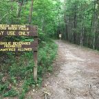 Mother Nature’s Son