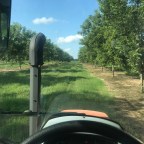 Adventures in Tractor Sitting