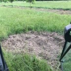 Legacy of The Hell-Ape